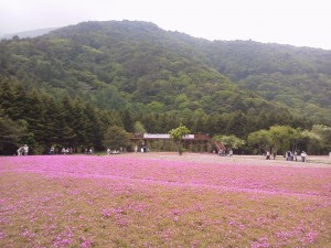 P1001165