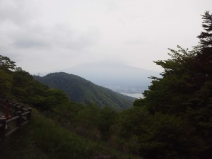P1001166