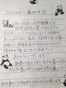 image1-4